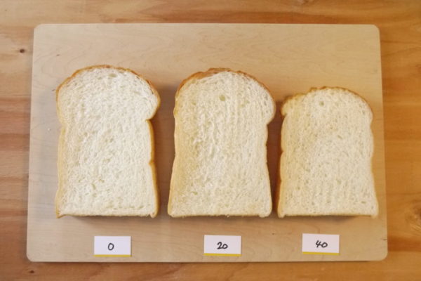 比較実習 ホイロ 食パン 発酵