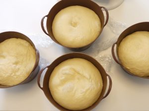 パン理論 応用コース 3 〜 テーマ『1次発酵』