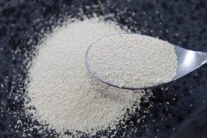 パン理論 基礎コース 9 〜 テーマ『イースト(パン酵母)』